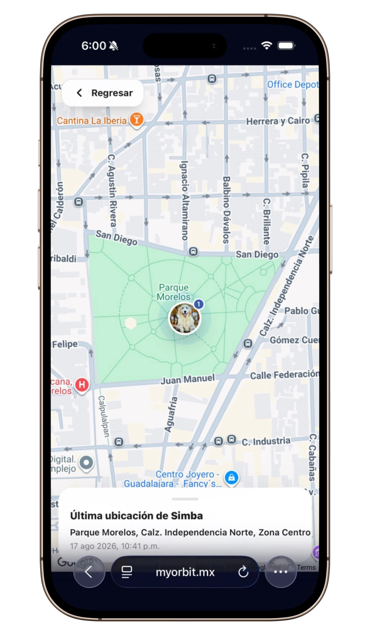 Orbit App Screen 2